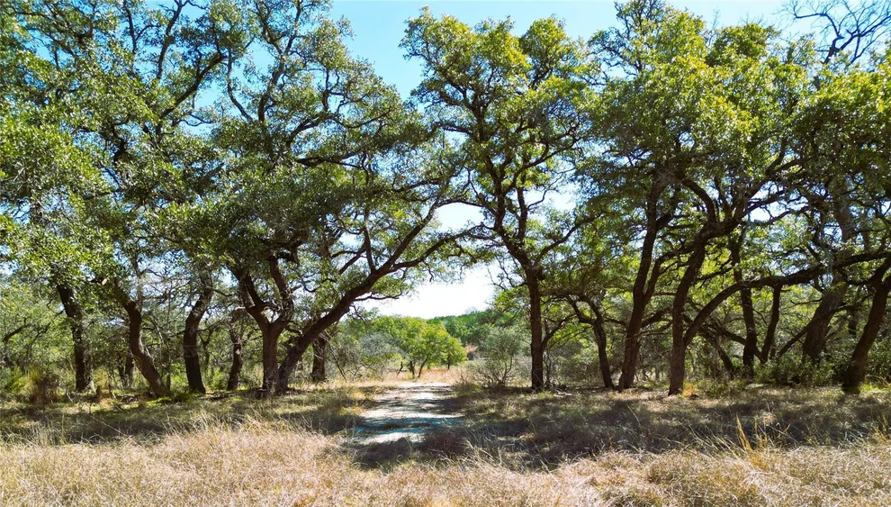 Unit for sale at 1090 Wilson Ranch RD, Round Mountain, TX 78663