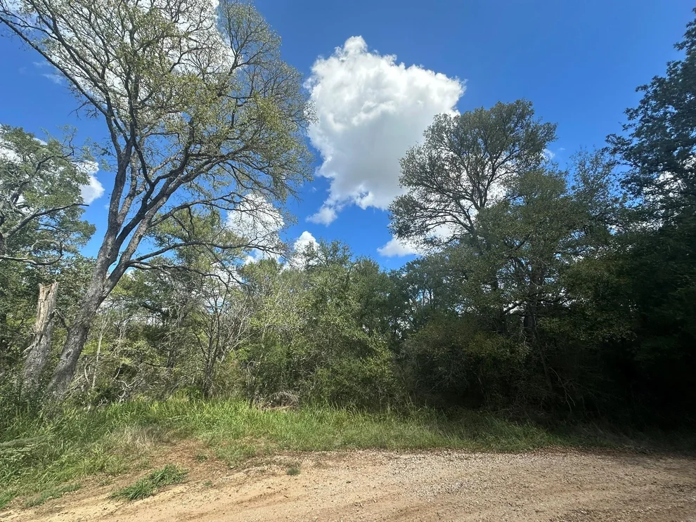 Unit for sale at Lot 625 Hilea CT, Bastrop, TX 78602