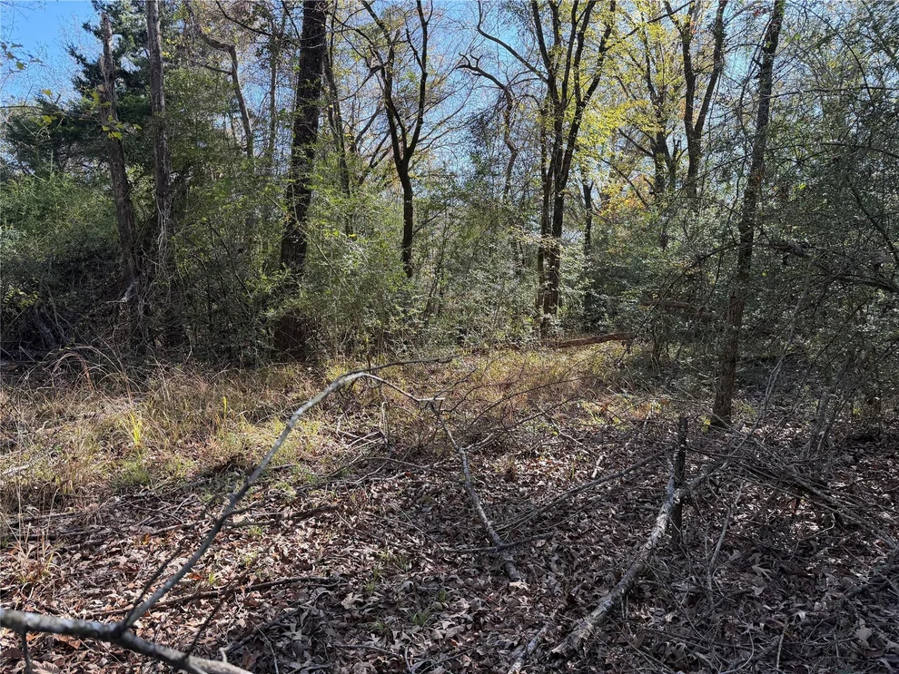Unit for sale at 128 County Road 301 Tract 7, Fairfield, TX 75855