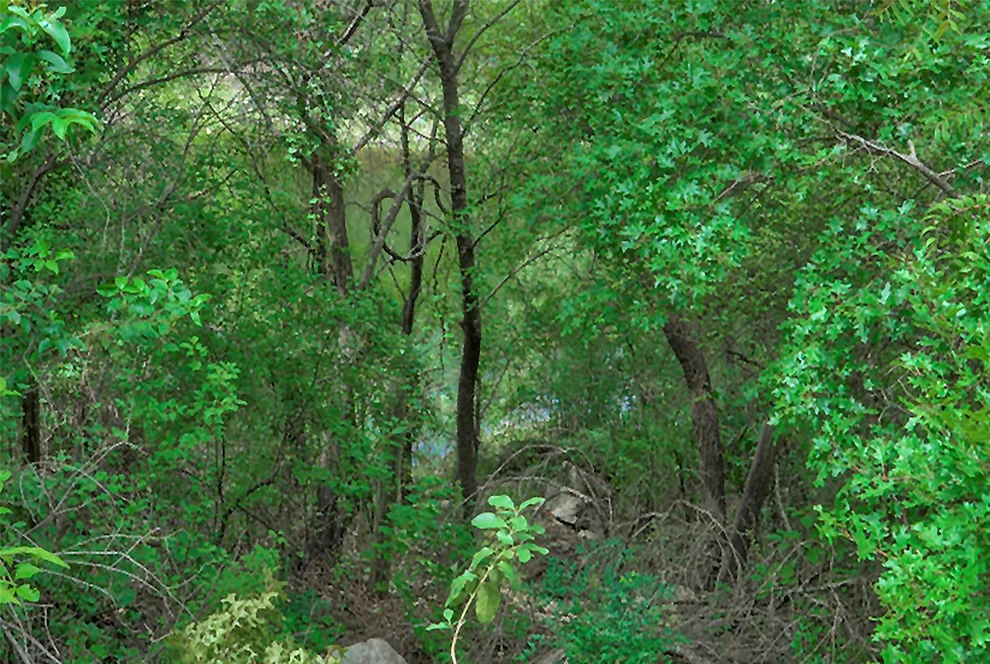 Unit for sale at 14704 Agarita PL, Austin, TX 78734