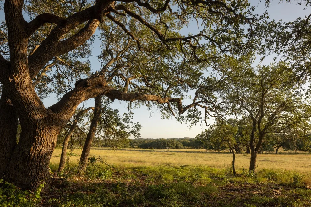 Unit for sale at 2427 Prochnow RD, Dripping Springs, TX 78620