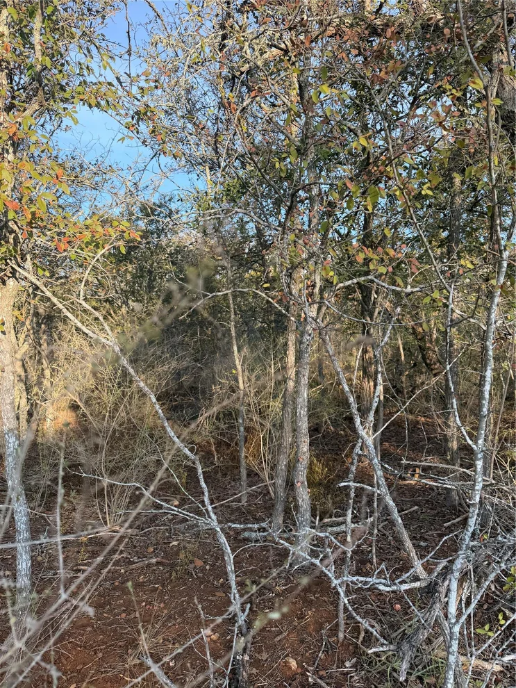 Unit for sale at 156 Helemano DR, Bastrop, TX 78602