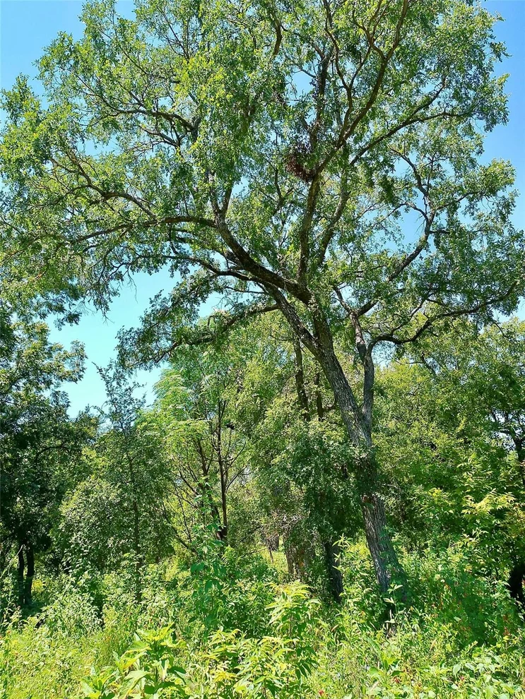 Unit for sale at 208 Serenity DR, Liberty Hill, TX 78642
