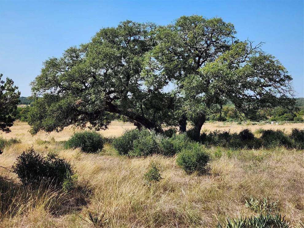 Unit for sale at 13586 Crows Ranch RD, Salado, TX 76571