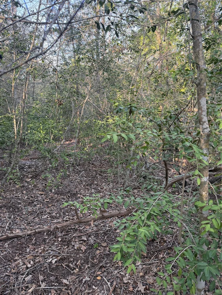 Unit for sale at Lot 607 Waimanalo DR, Bastrop, TX 78602
