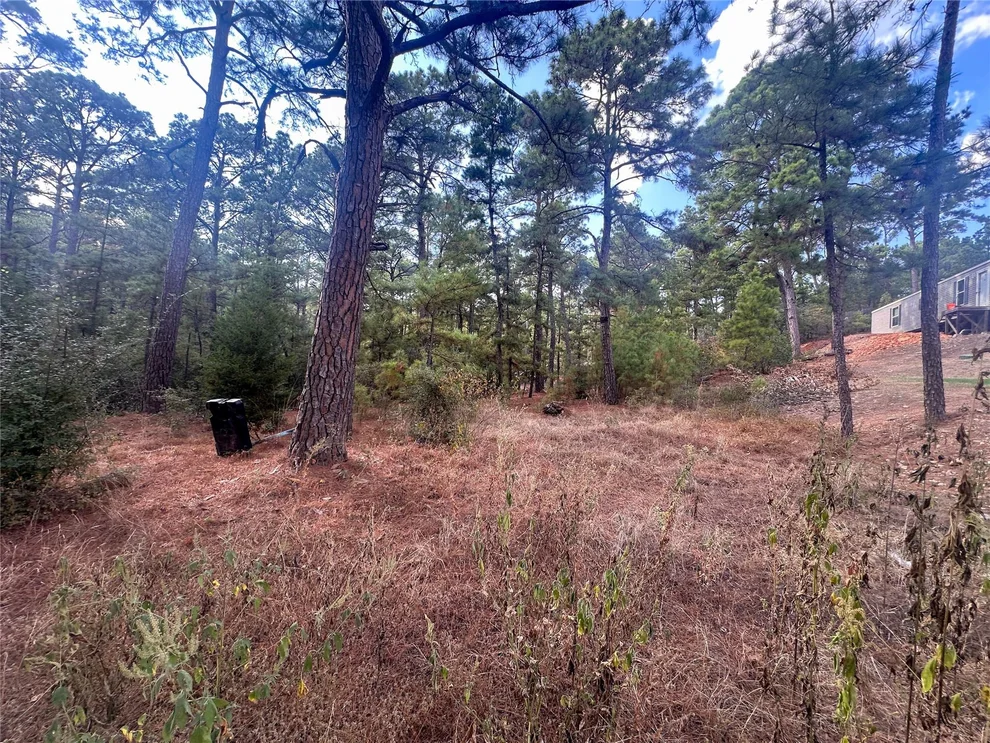 Unit for sale at Lot 84 Hill Ridge DR, Bastrop, TX 78602