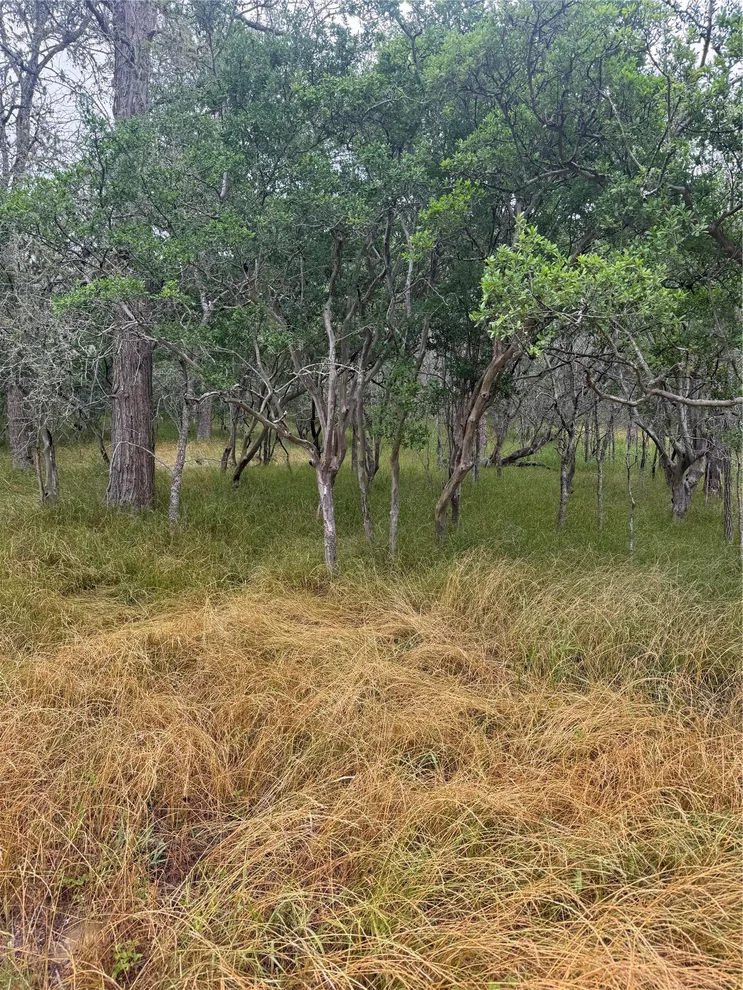 Unit for sale at 109 Hauula CT, Bastrop, TX 78602