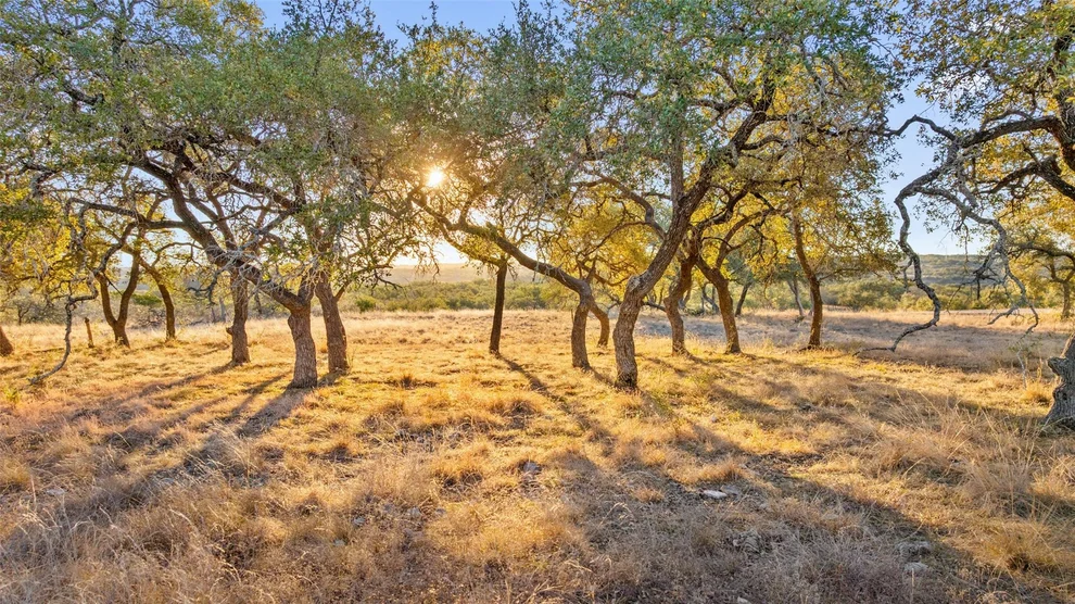Unit for sale at 1422-8 RM 2766, Johnson City, TX 78636