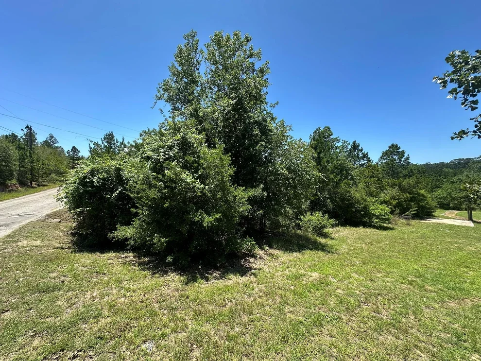Unit for sale at 000 Manawianui DR, Bastrop, TX 78602