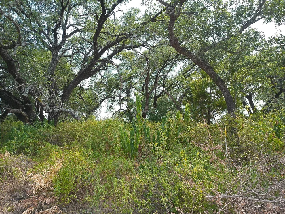 Unit for sale at Lot 64 Rycen DR, Bertram, TX 78605