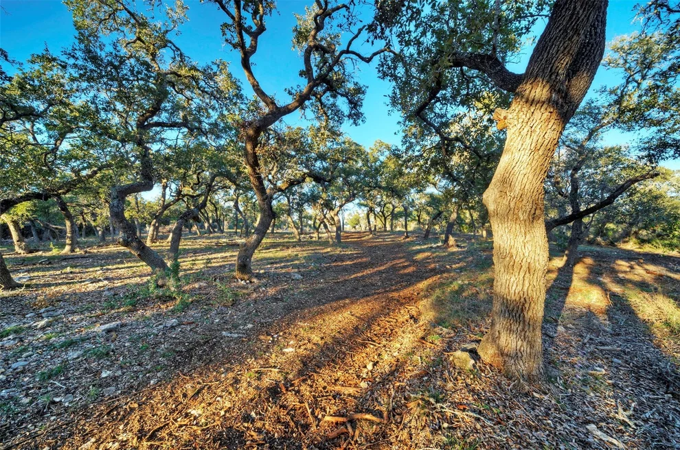 Unit for sale at Lot 14 Puerto Rico DR, Wimberley, TX 78676