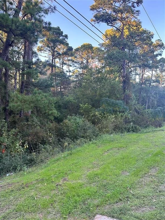 Unit for sale at TBD R28890 Tahitian DR, Bastrop, TX 78602