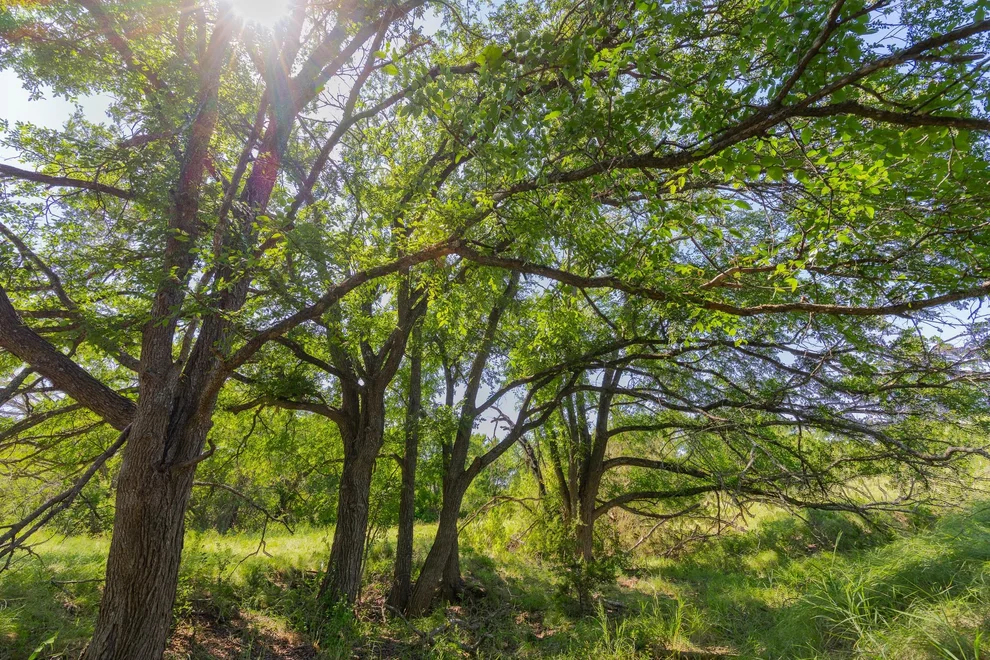 Unit for sale at TBD County Road 180 Covered Meadows Ranch RD, Purmela, TX 76566