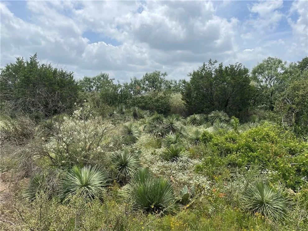Unit for sale at Lots 106-107 Hilldale, Granite Shoals, TX 78654