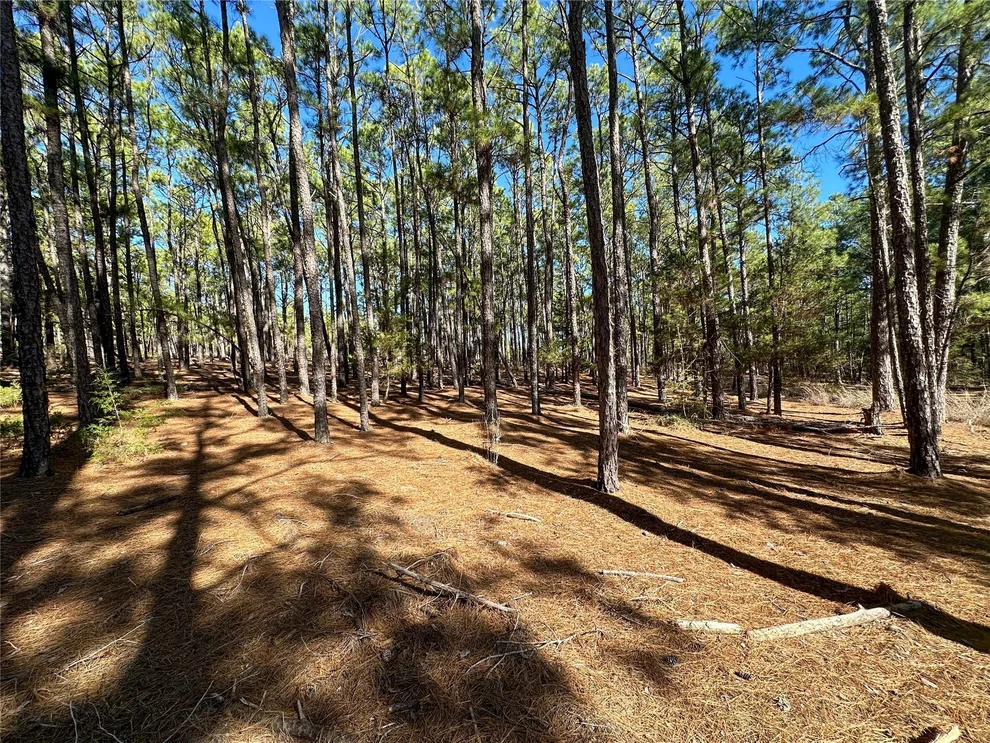 Unit for sale at Lot 12 Hickory Ridge DR, Bastrop, TX 78602