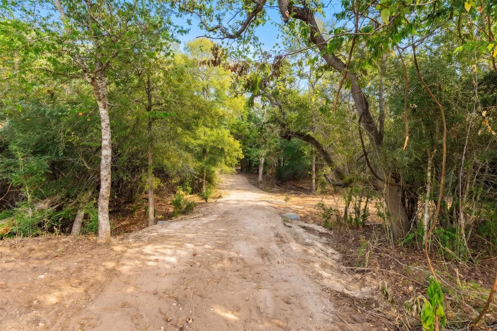 Unit for sale at 12 Acres Mt. Pleasant, Cedar Creek, TX 78612