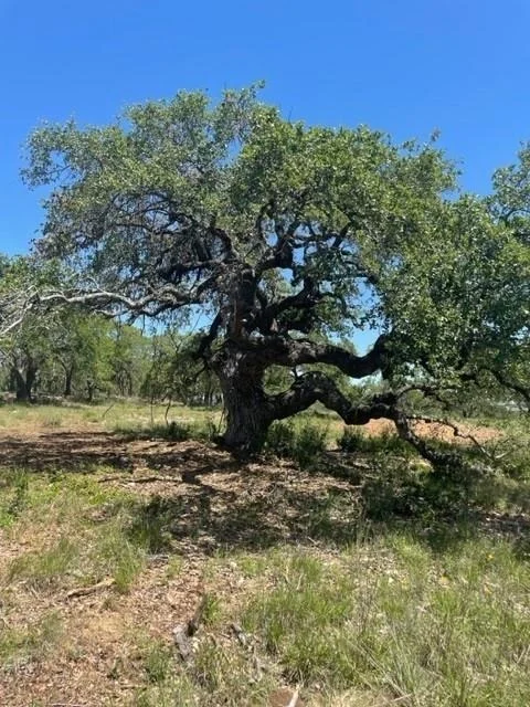Unit for sale at 000 Whiskey TRL, Blanco, TX 78606