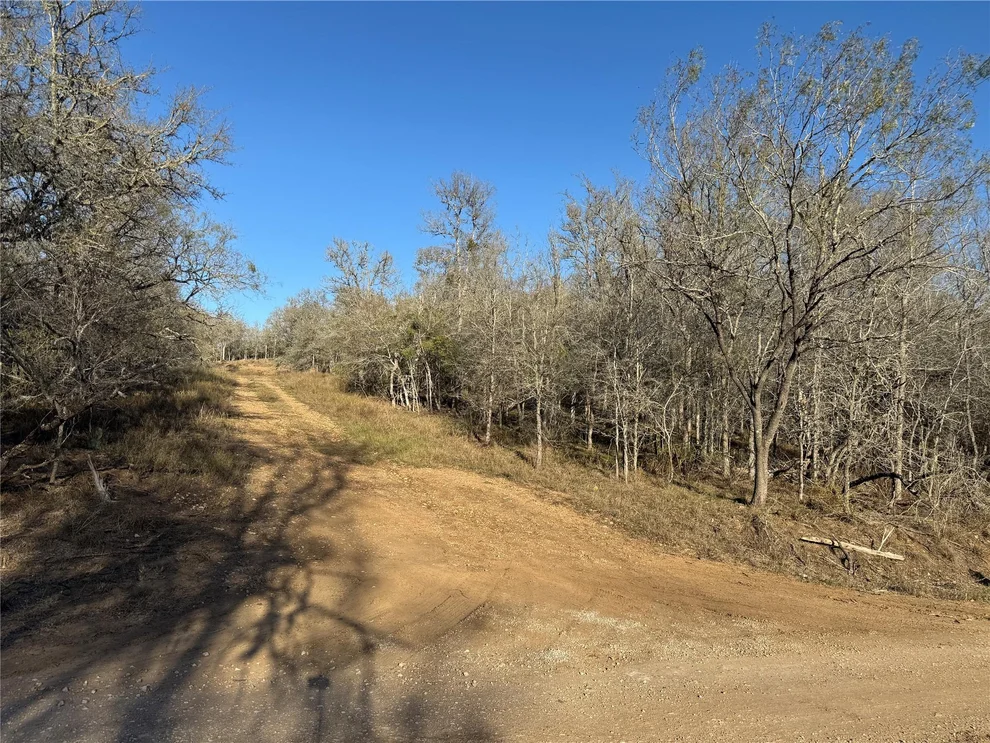 Unit for sale at 111 Hauula CT, Bastrop, TX 78602
