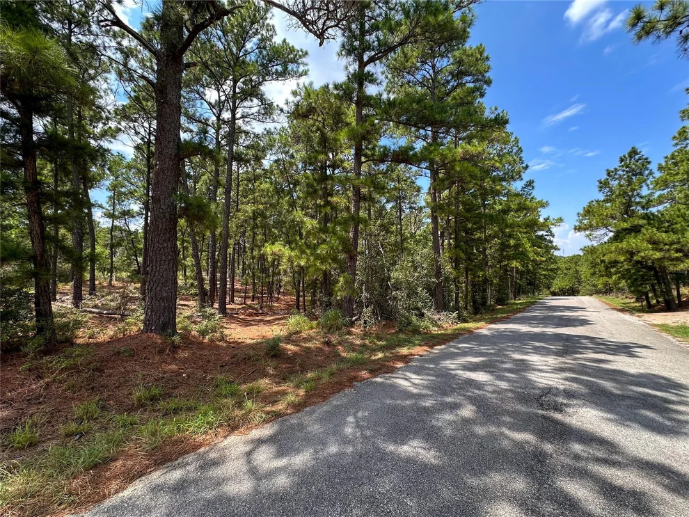 Unit for sale at 147 Kamakoa LN, Bastrop, TX 78602