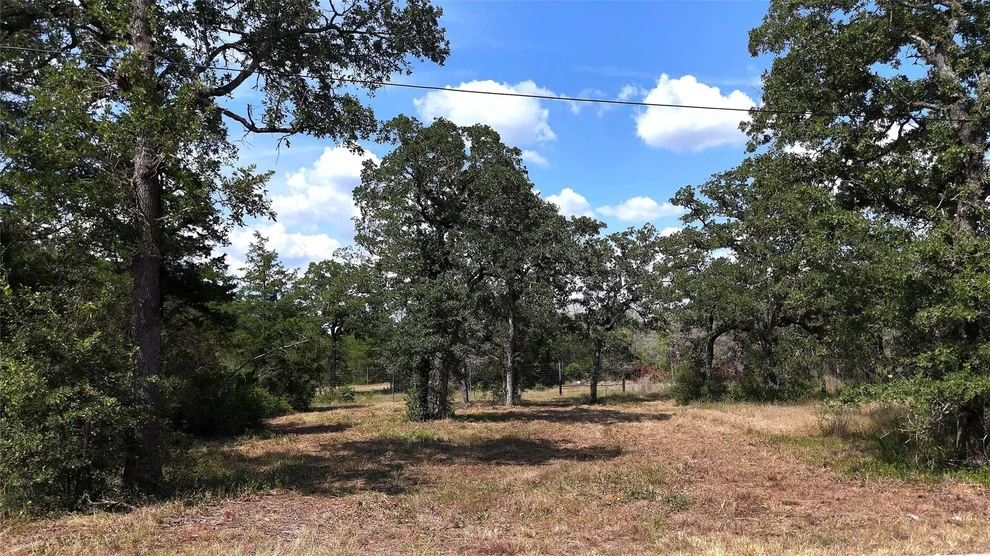 Unit for sale at TBD Thunderbird DR, Smithville, TX 78957