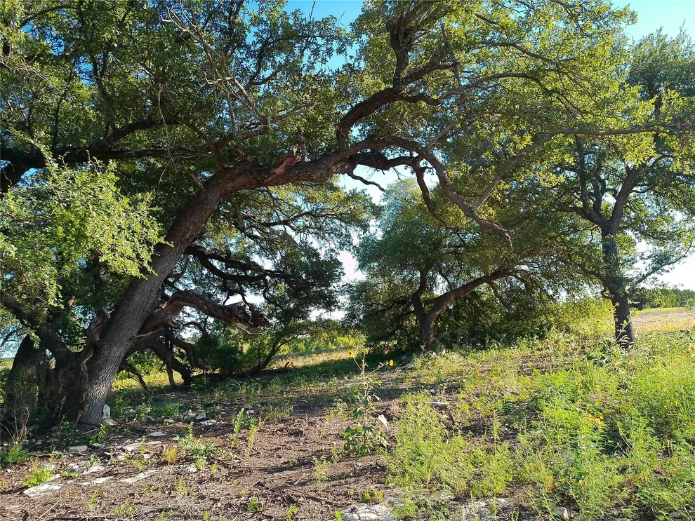 Unit for sale at Lot 42 Serenity DR, Bertram, TX 78605