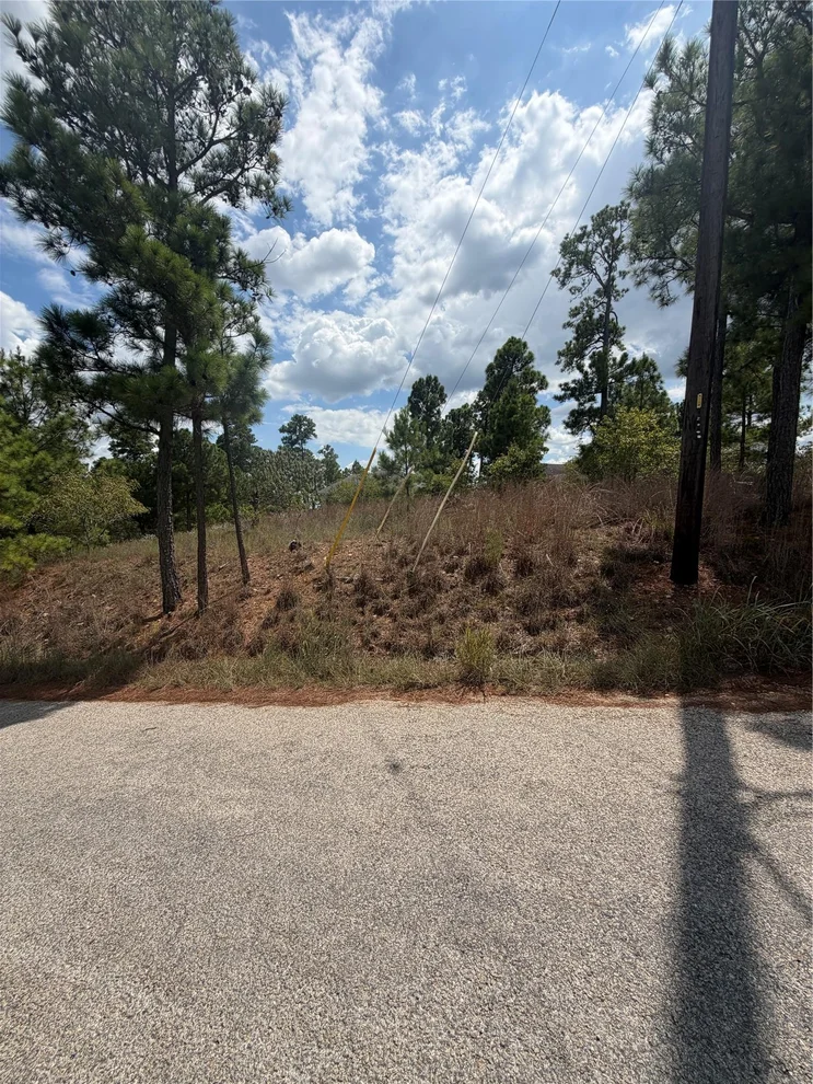 Unit for sale at Lot 1189 Awehi LN, Bastrop, TX 78602