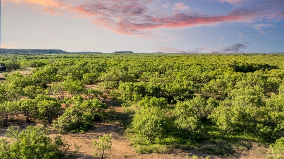 Unit for sale at 2186 Fm 1028, Rochelle, TX 76872