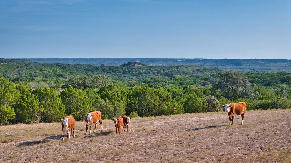 Unit for sale at 532 CR 468, Rochelle, TX 76872