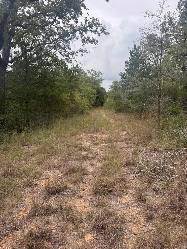 Unit for sale at Lot 6 Spruce ST, Paige, TX 78659