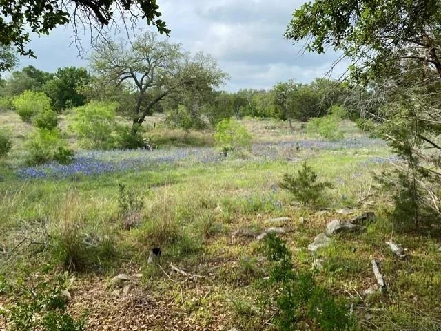 Unit for sale at 1365 Pedernales Hills RD, Johnson City, TX 78636
