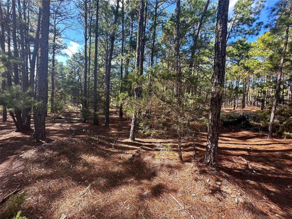 Unit for sale at Lot 11 Hickory Ridge DR, Bastrop, TX 78602
