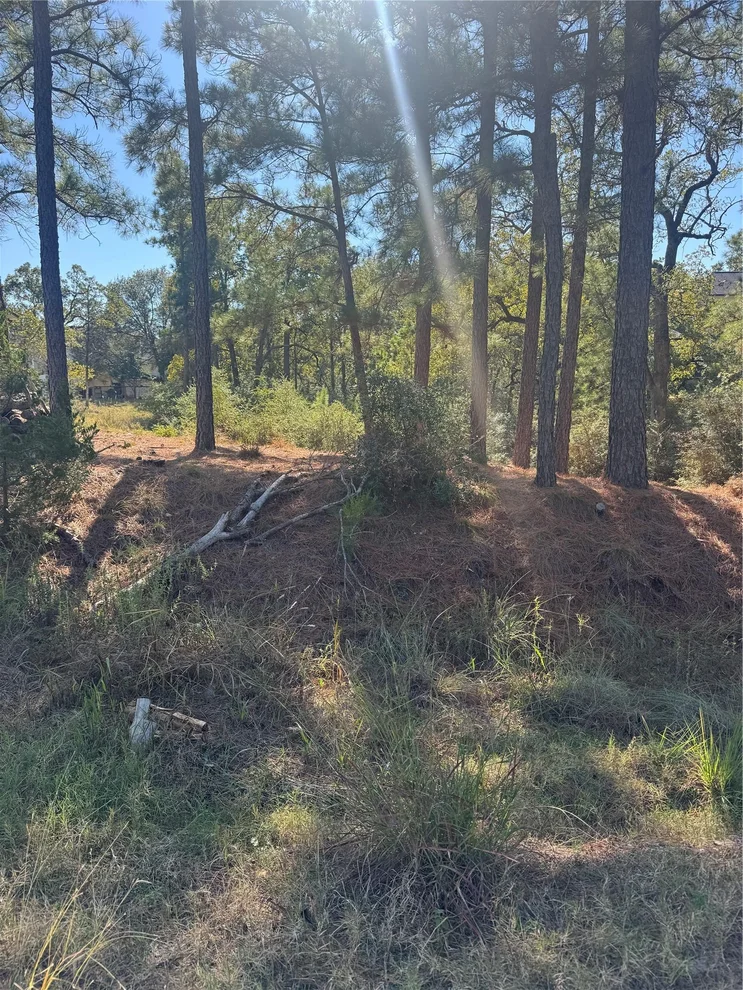 Unit for sale at Lot 97 Kaelepulu DR, Bastrop, TX 78602