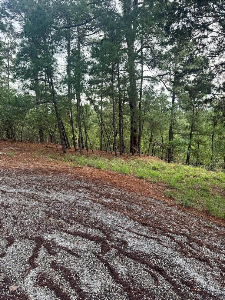 Unit for sale at Lot 1492 Haleakala, Bastrop, TX 78602