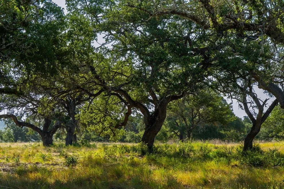 Unit for sale at Lot 8 Tuscany DR, Driftwood, TX 78619