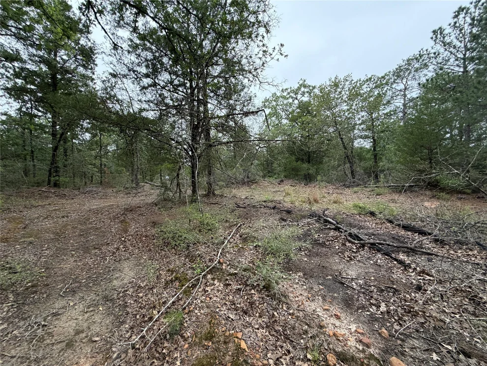 Unit for sale at Lot 17 Old Antioch RD, Smithville, TX 78957