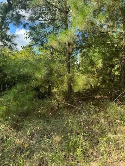 Unit for sale at Lot 1338 Tahitian DR, Bastrop, TX 78602