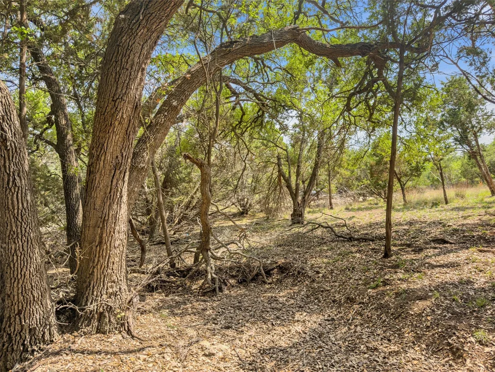 Unit for sale at 369 Onion Creek LN, Blanco, TX 78606