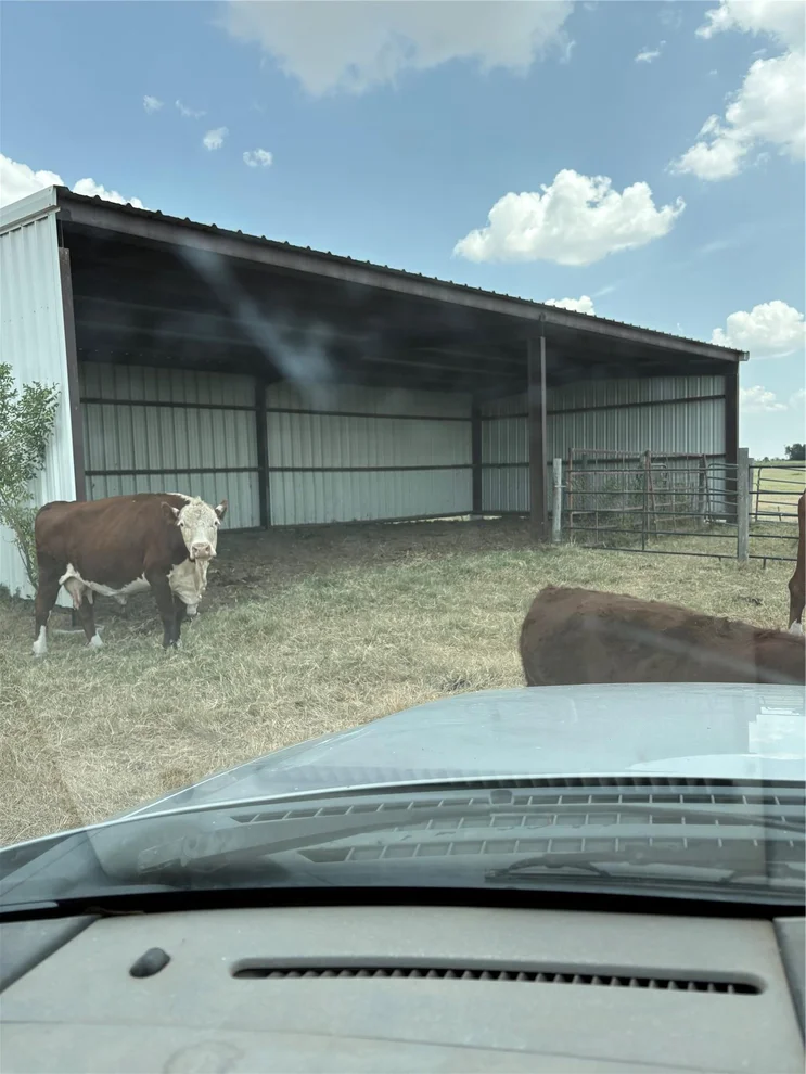 Unit for sale at 600 County Road 444 LAND, Thorndale, TX 76577