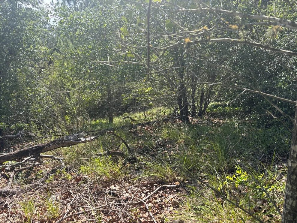 Unit for sale at Lot 1541 Pahoiki LN, Bastrop, TX 78602