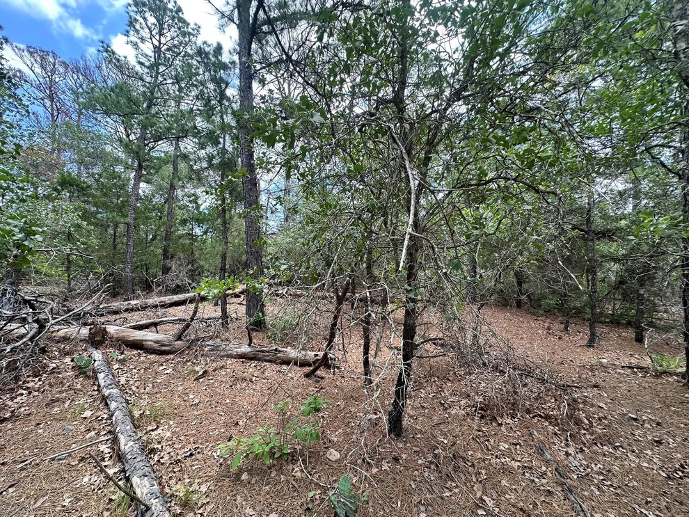 Unit for sale at 217 Helemano DR, Bastrop, TX 78602