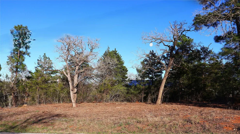 Unit for sale at TBD Eaglenest CT, Smithville, TX 78957