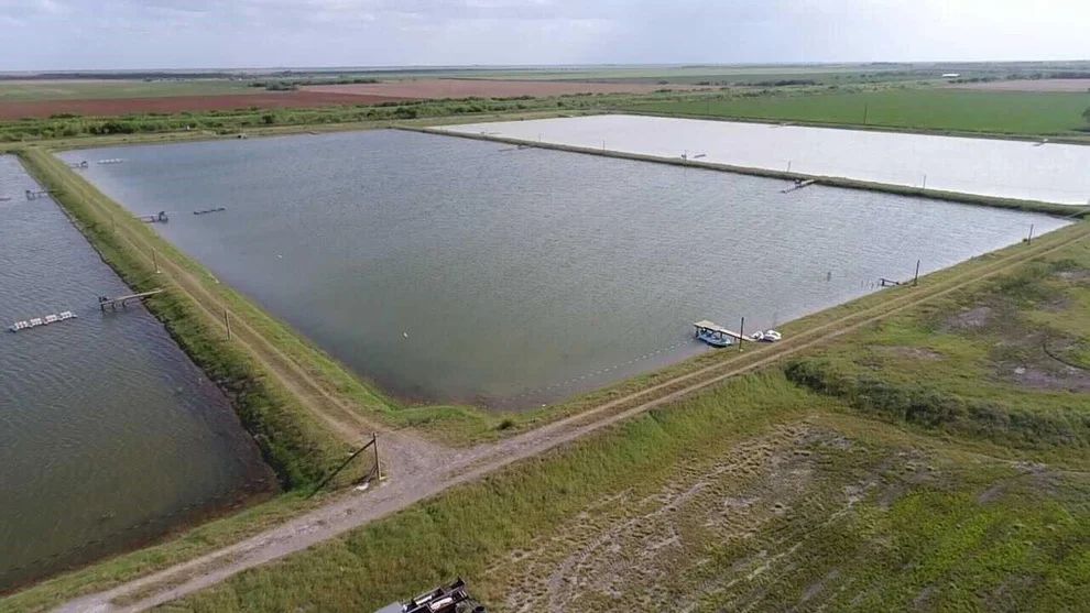 Unit for sale at 7979 Goyo Garcia RD, Raymondville, TX 78580