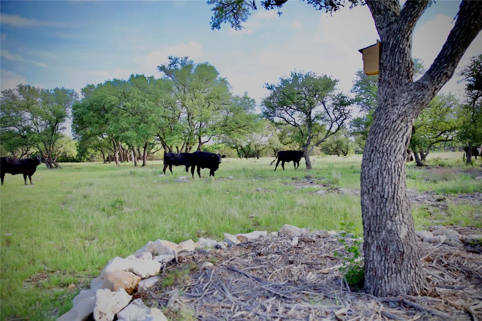 Unit for sale at Lot 33 Starfall DR, Lampasas, TX 76550