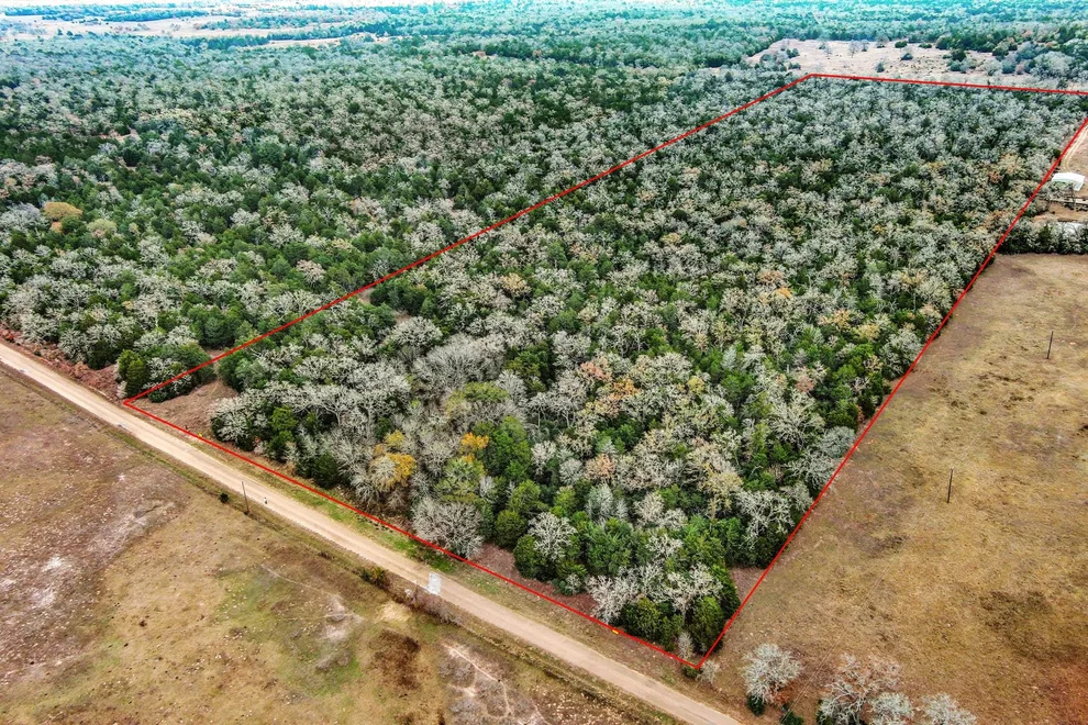 Unit for sale at 24 acres CR 332 RD, Paige, TX 78659