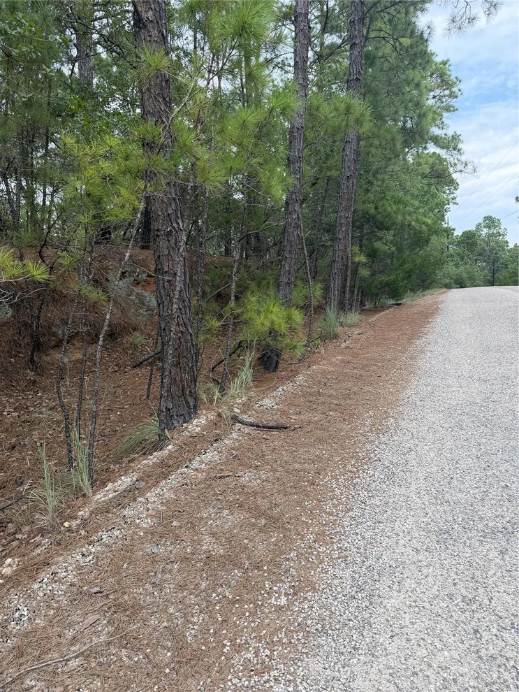 Unit for sale at Lot 214 Hekili DR, Bastrop, TX 78602