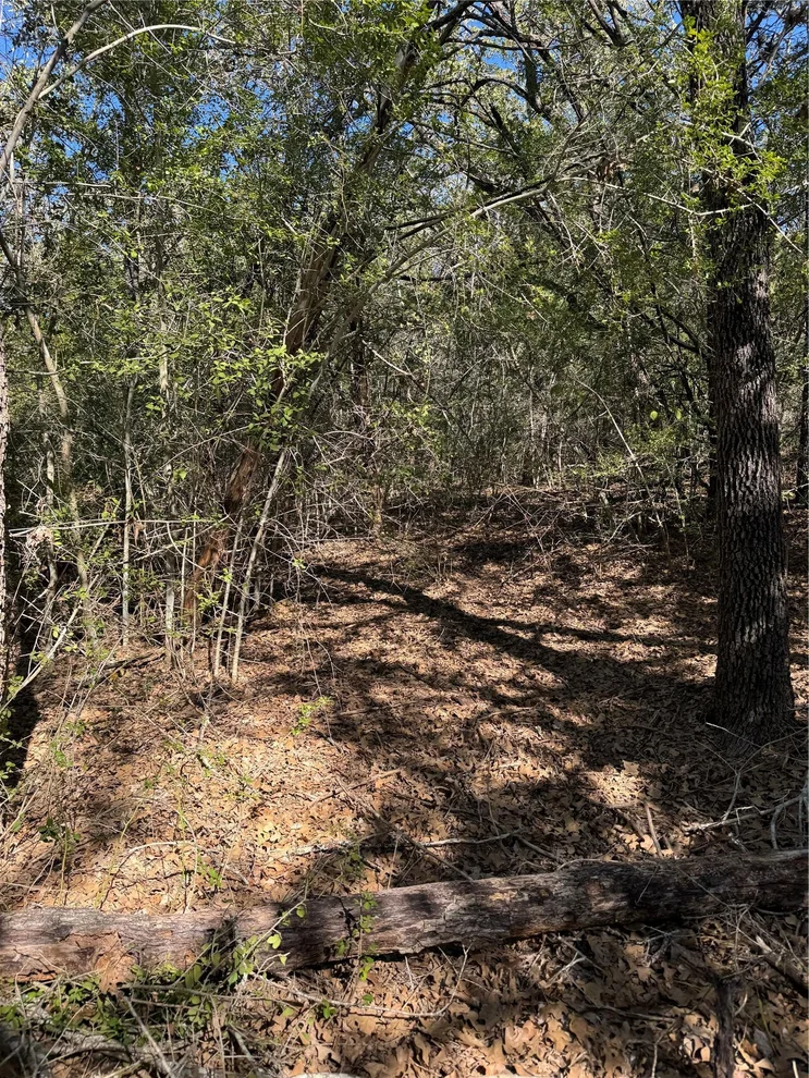 Unit for sale at Lot 195 Kaelepulu DR, Bastrop, TX 78602