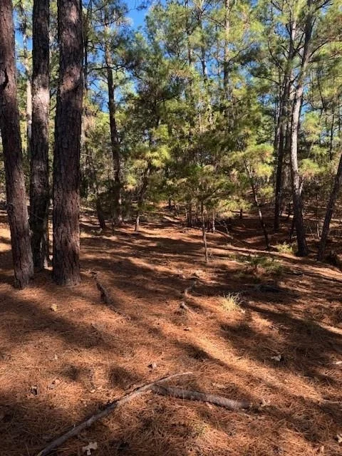 Unit for sale at Lot 1395 Kaupa CT, Bastrop, TX 78602