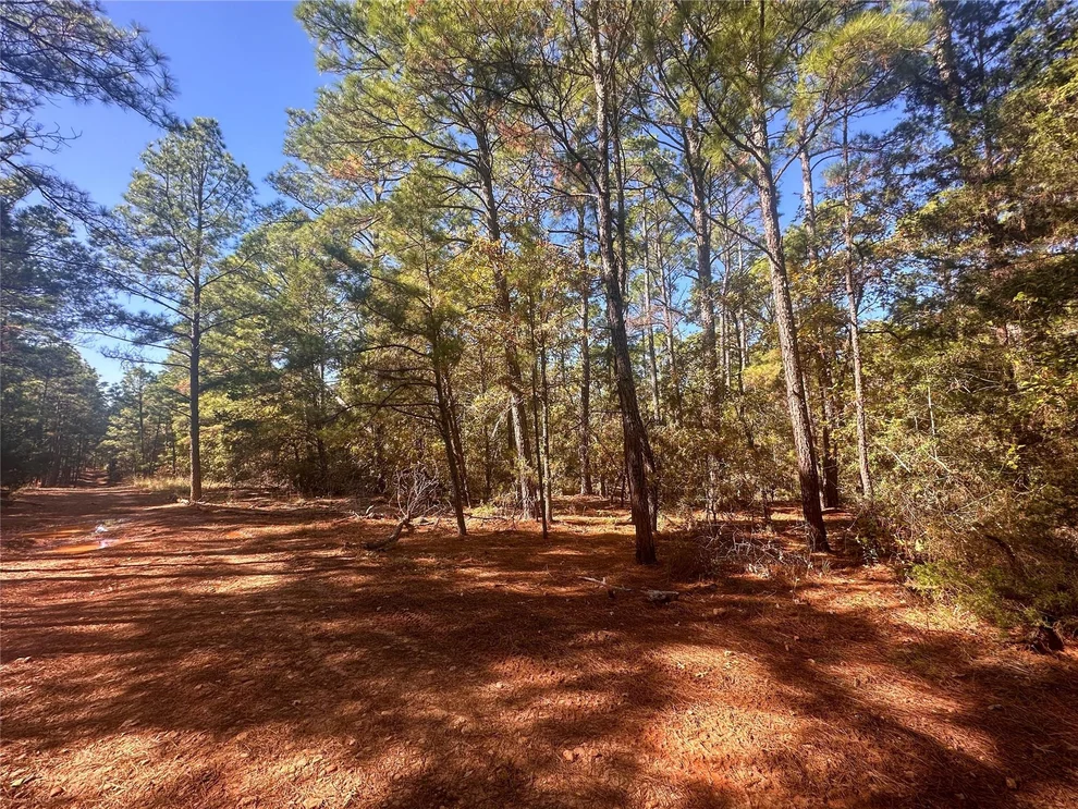 Unit for sale at 000 Pine Hollow DR, Bastrop, TX 78602
