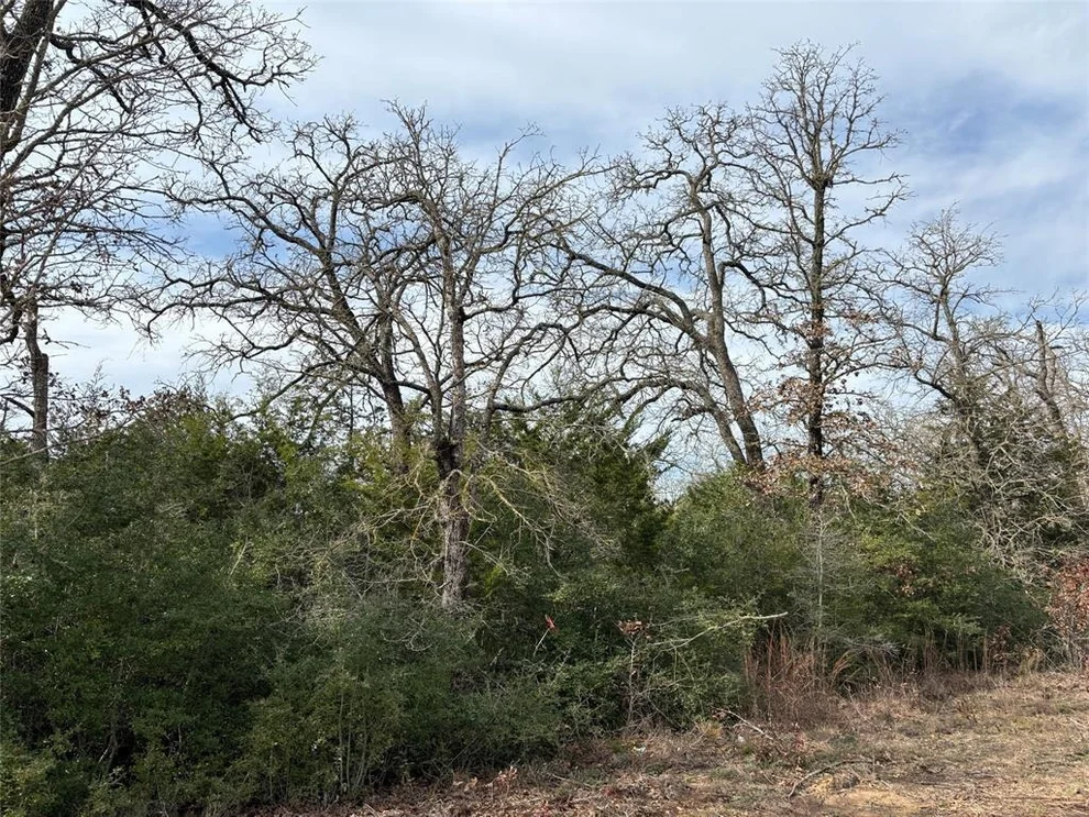 Unit for sale at Lot 64 Shadow Oaks DR, Bastrop, TX 78602