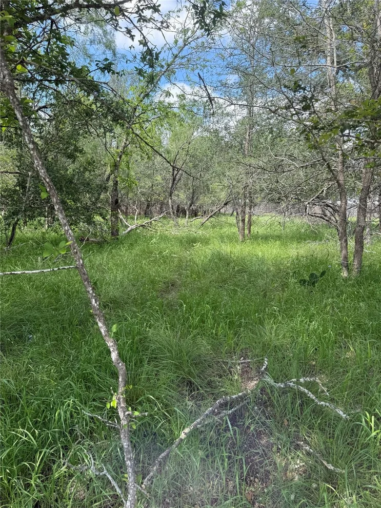 Unit for sale at Lot 200 Nene LN, Bastrop, TX 78602